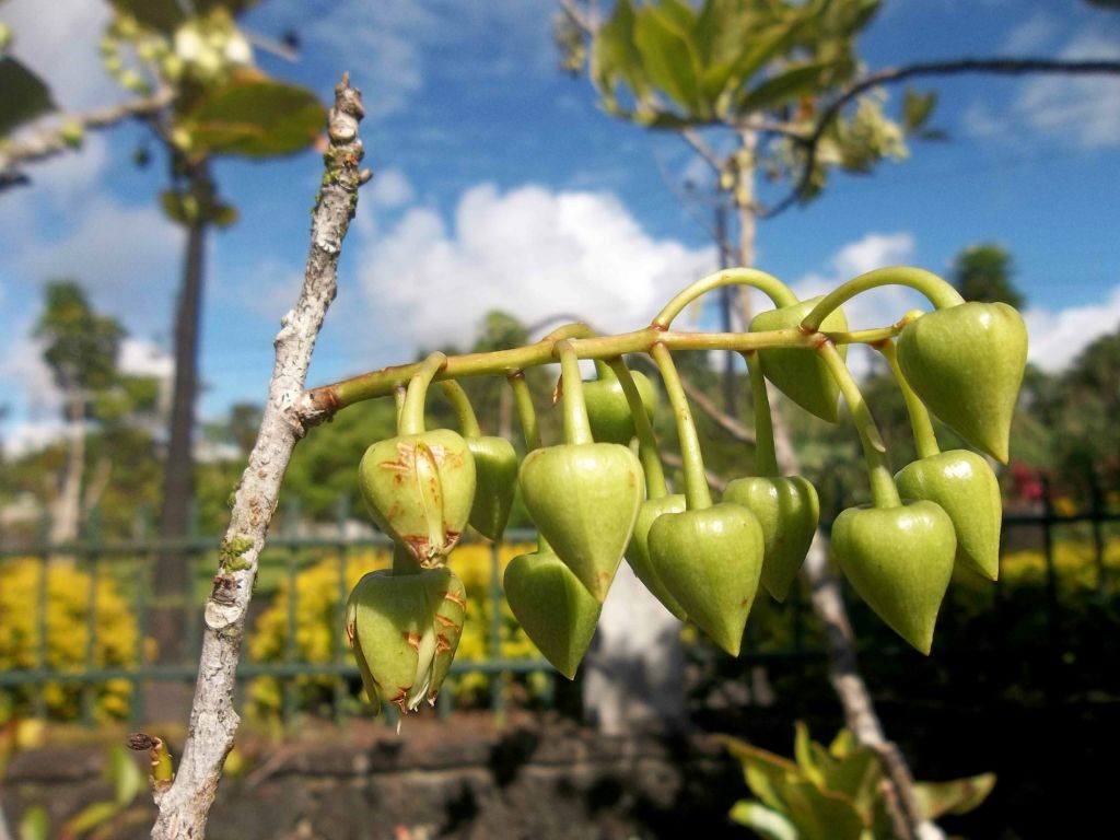 Article : Journée internationale de la Terre: donner l&rsquo;exemple