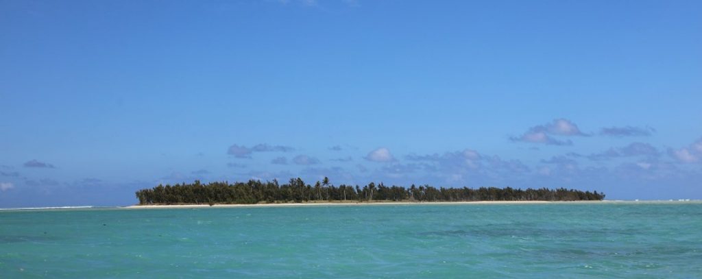 Article : Merci pour vos voeux!