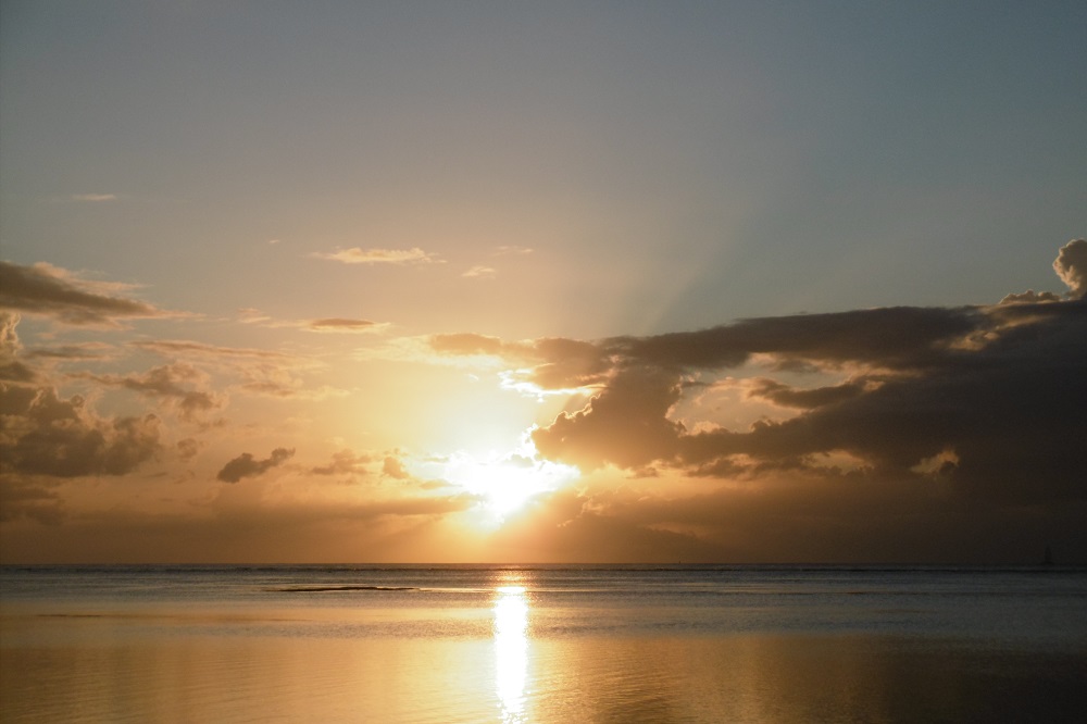 Article : R&eacute;flexions en g&eacute;n&eacute;rations