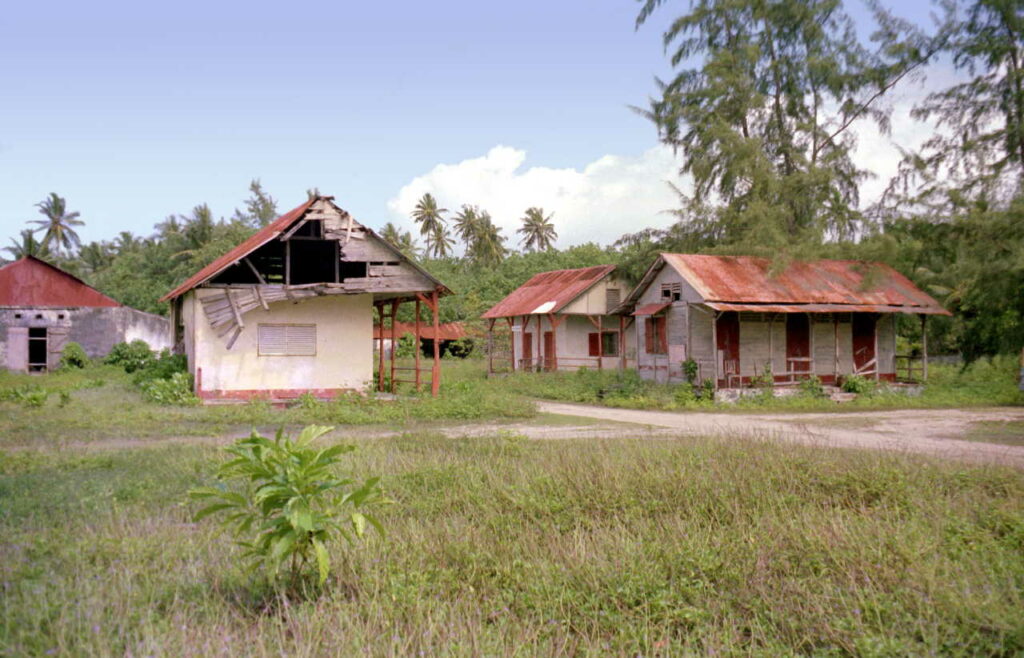 Ancienne plantation et cocoteraie en ruine sur Diego Garcia en 1970. Photo: Wikicommons.
