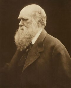 Article : L’Ile Maurice vue par Charles Darwin